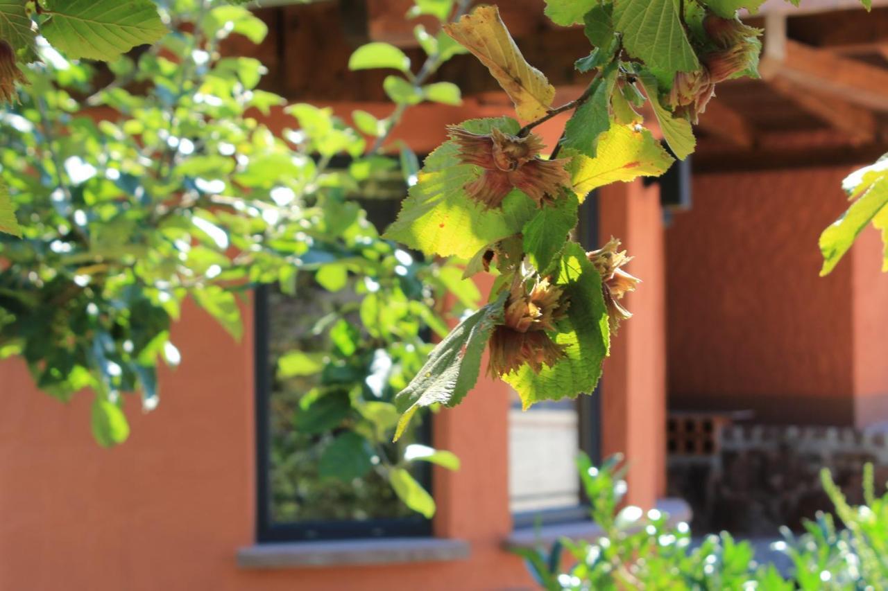 Ferienwohnung Altschloss Eppenbrunn Eksteriør billede